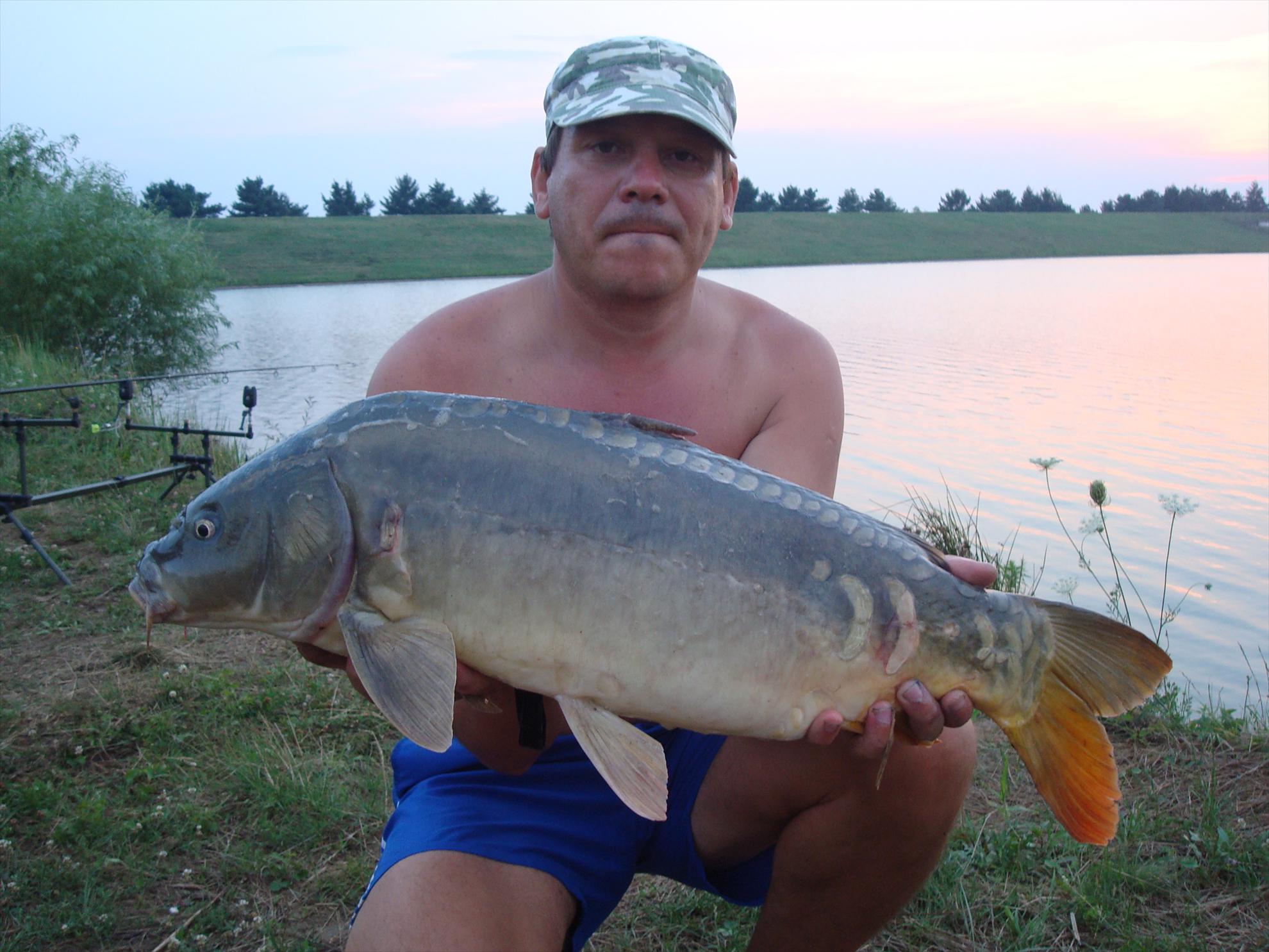 balta de la Topolavatul Mare - dsc06293.JPG